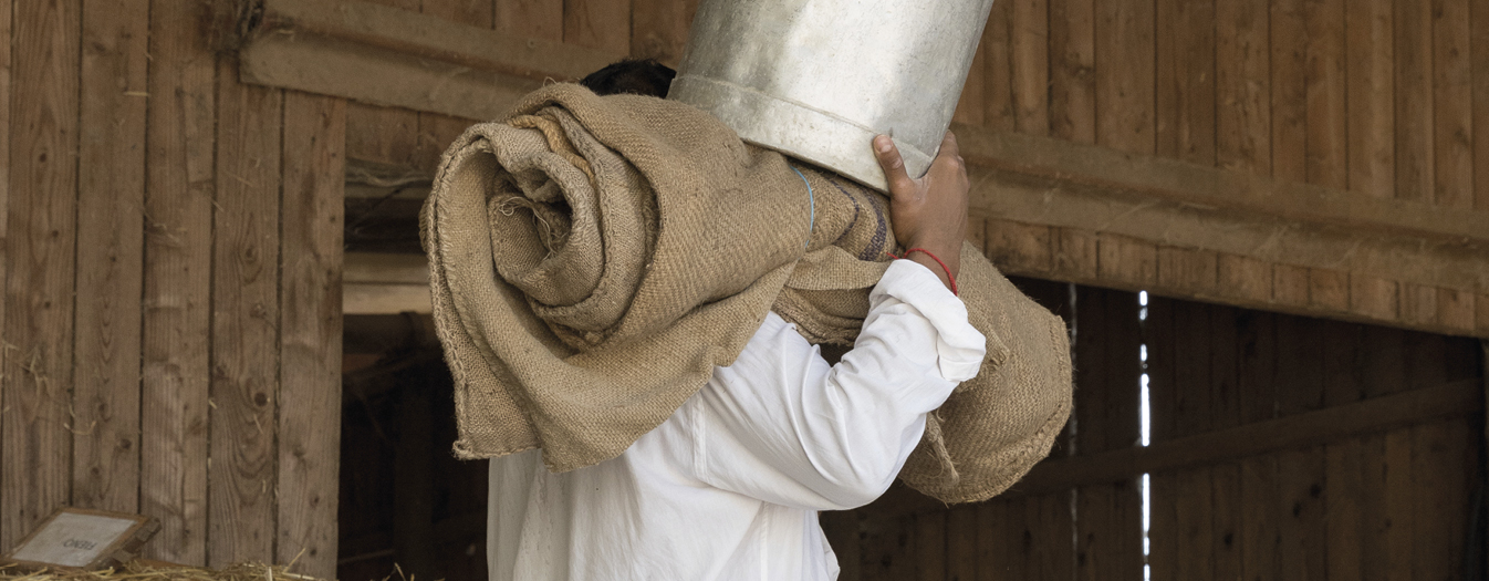 contro il caporalato in agricoltura, progetto FARm